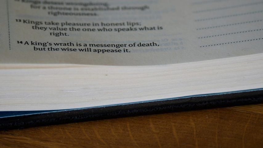 a page of a book